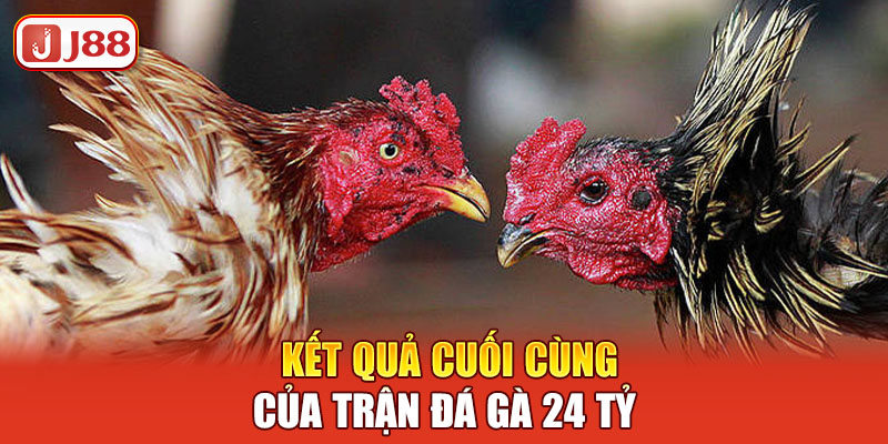 ket-qua-cuoi-cung-cua-tran-da-ga-24-ty