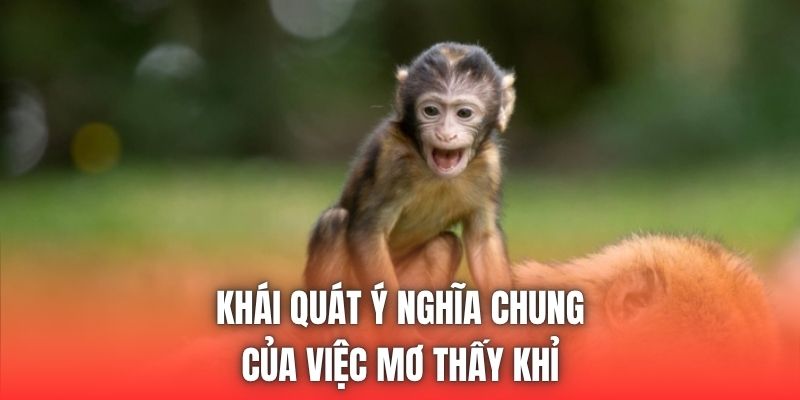 Khái quát ý nghĩa chung của việc mơ thấy khỉ
