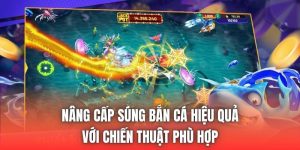 Nâng Cấp Súng Bắn Cá Hiệu Quả Với Chiến Thuật Phù Hợp
